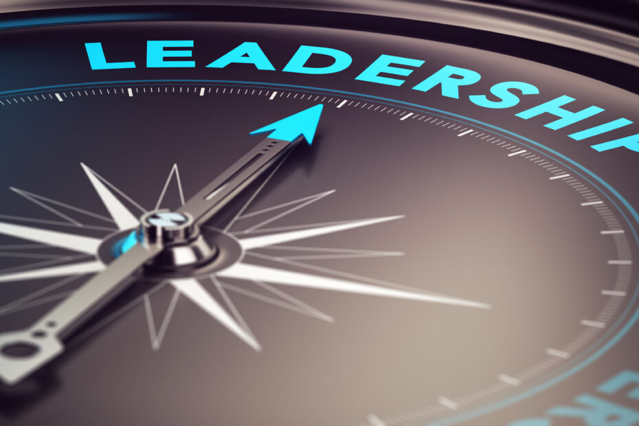 Lessons in Leadership: Developing Effective Skills for Business Success