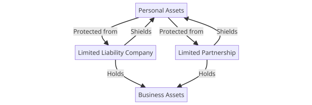 Asset Protection through Limited Liability Entities