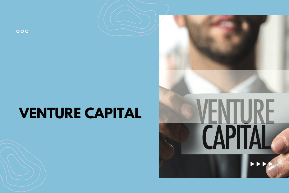 How Does Venture Capital Influence Global Innovation